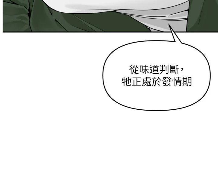 第31話 - 捕獲發情母豬大作戰!