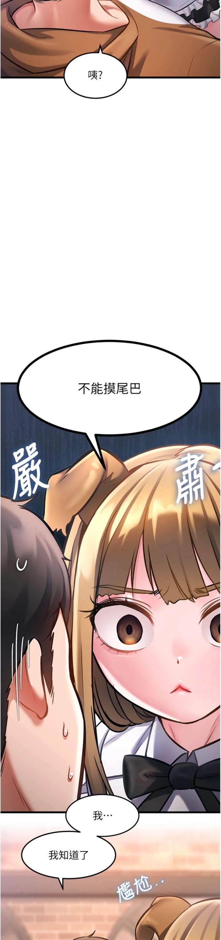 第17話 - 馴服野貓守則